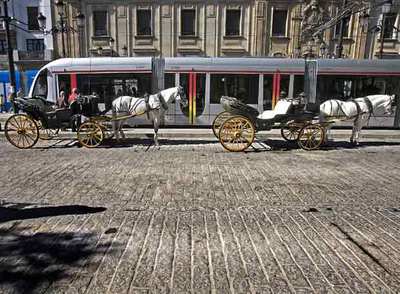 El tranvía pasa junto a los tradicionales coches de caballos por la avenida de la Constitución.