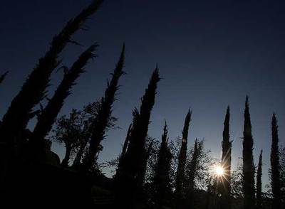 El Bosque de los Ausentes, instalado en el parque del Retiro de Madrid, donde se recuerda a las víctimas del 11-M.