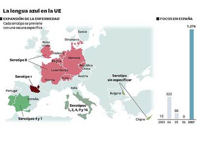 El calentamiento extiende por Europa el virus de la lengua azul