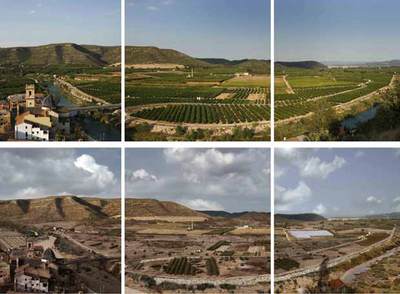 CULTIVOS DESTRUIDOS POR LA DESERTIFICACIÓN