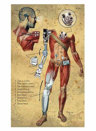 Formas de evitar nuestra extinción