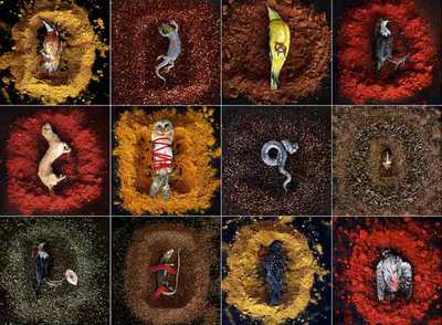  Paraíso fragmentado,  friso con 15 naturalezas muertas de Manuel Vilariño.