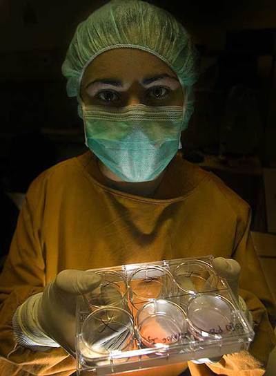 Las nuevas células madre necesitan embriones.