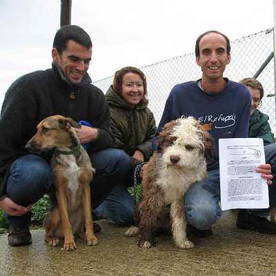 Cerrada la perrera de los horrores