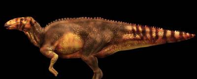 Recreación del hadrosaurio  Dakota,  realizada por National Geographic Society.