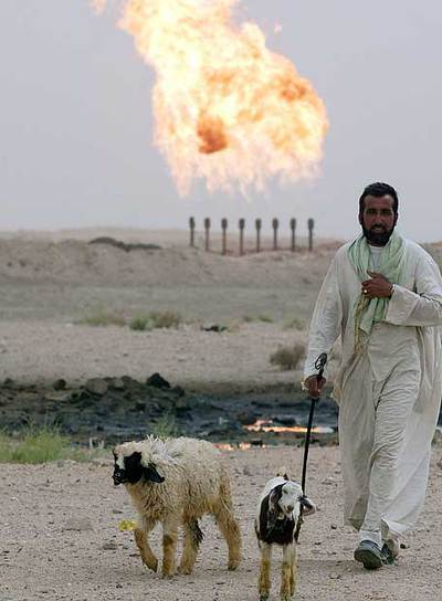 Un hombre con sus ovejas cerca de una planta de gas en Irak.