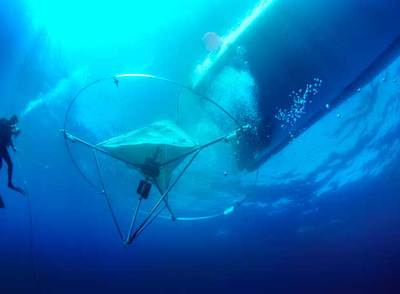 Un hidrófono permite registrar la actividad sonora dentro del mar.