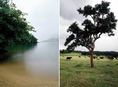 Dos de las imágenes del fotógrafo brasileño que se muestran en la galería Joan Prats.
