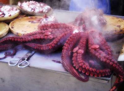 Vida en Costa da Morte