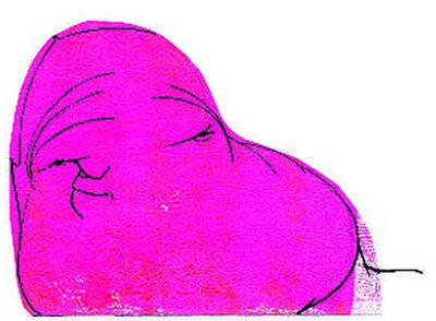 La resurrección de McCain