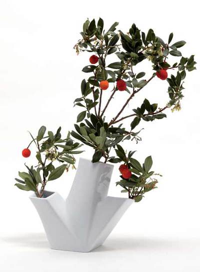 Diversos modelos de las mascotas virtuales   Sprooch. 