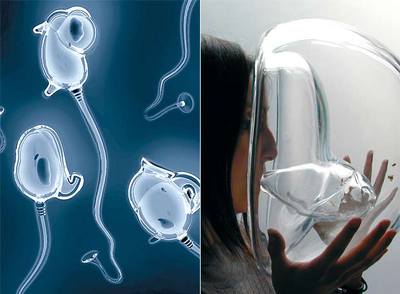  Typosperma concept , del israelí Oded Ezer, y  Blown handmade glass , de la artista portuguesa Susana Soares.