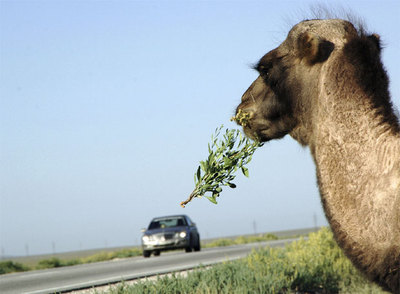 Coches cada vez menos contaminantes.