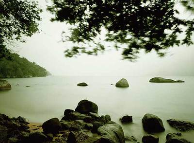 Imagen de la serie  Mamanguá,  de Caio Reisewitz, en la exposición  Paraísos indómitos. 