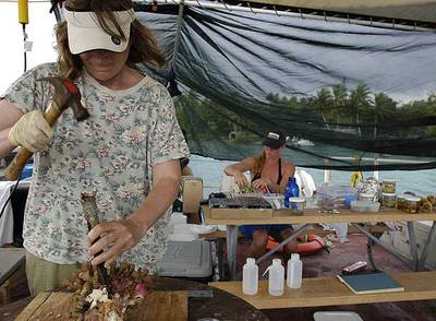 Dos investigadoras estudian muestras extraídas durante la expedición.