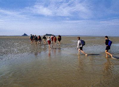 Excursionistas caminan durante la marea baja hacia el monte Saint Michel (izquierda), que se eleva en esta bahía de Normandía (Francia) junto a la isla de Tombelaine.