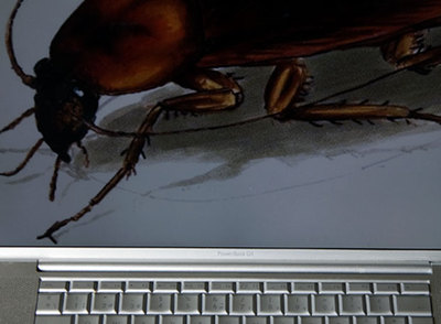 Los nuevos virus explotan la popularidad de las redes sociales para reproducirse