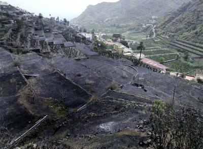Zona quemada por el fuego en el valle de Hermigua, en la isla de La Gomera.