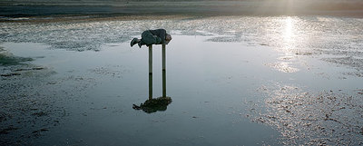 Fotografía  #50  (2003), de Javier Vallhonrat.