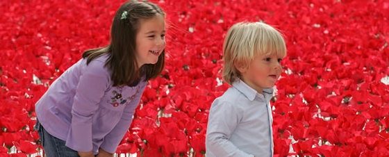 Campo de amapolas de Kenzo en Madrid