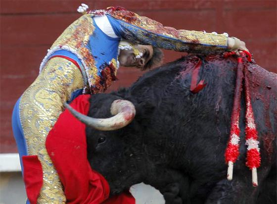 foto de la noticia