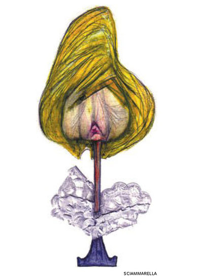 ¿Qué le pasó a Hillary?