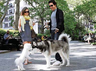 Tiene ocho minutos para enamorarme