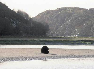 Imagen del vídeo  Wooden Boulder  (2003), de David Nash.