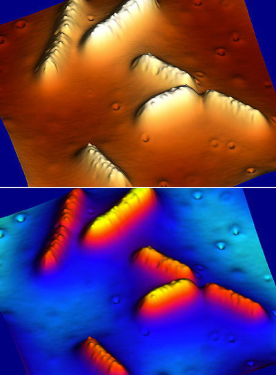 Bacterias  Geobacter  en superficie de grafito en dos coloraciones diferentes para realizar experimentos.