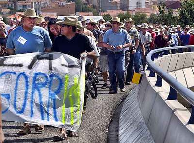 Agricultores y ganaderos marchan en columna por la A-3 a la altura de Utiel, donde ayer cortaron el tráfico para protestar por la crisis del sector.