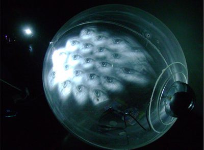  Expanded eye,  de Anaísa Franco.