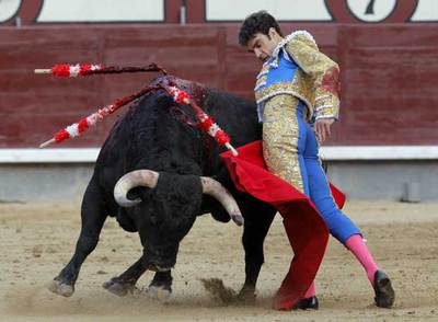 José Tomás por haciendo un trincherazo.