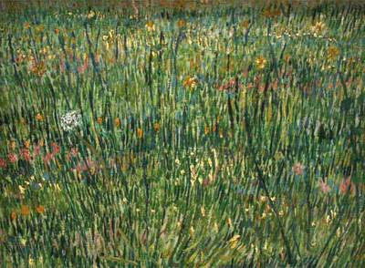 Foto en alta resolución de  Parche de hierba .