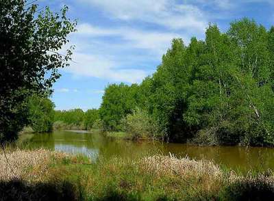 La postal de Mercedes Álvarez