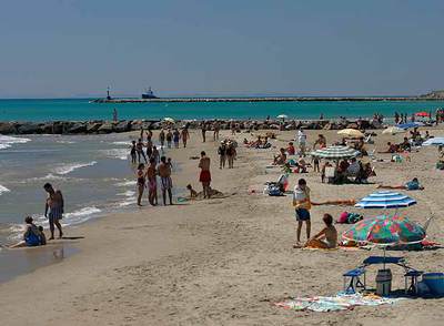 La postal de Manuel Borja-Villel