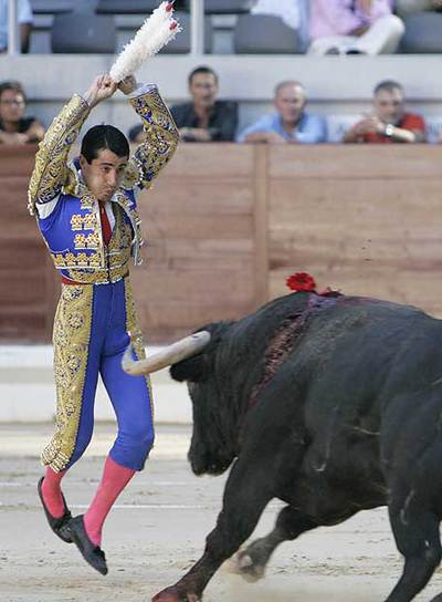 El Vitoriano pone las banderillas al toro con que tomó la alternativa.