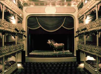 En la obra, una momia se enfrenta con un hombre disfrazado de alce.
