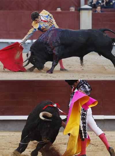 José Tomás, arriba, es volteado por uno de los toros, que le propinó una cornada en el glúteo derecho y otra de menor gravedad en la axila, ayer durante la corrida en El Puerto de Santa María; abajo, Morante de la Puebla torea al natural en su primer toro.
