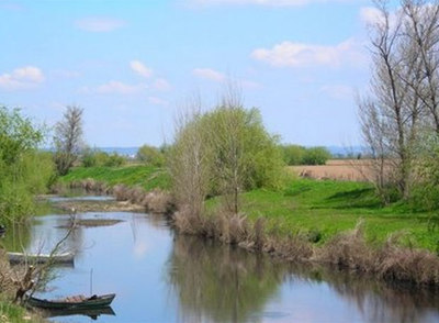 La postal de José Saramago