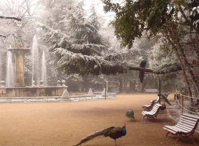 La postal de Gustavo Martín Garzo