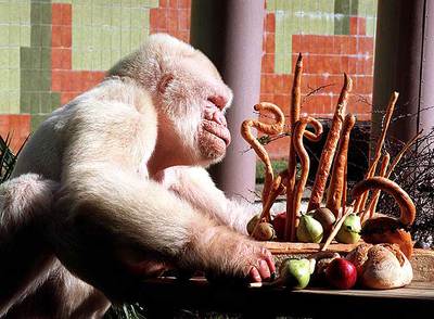 La postal de Jaume Sisa