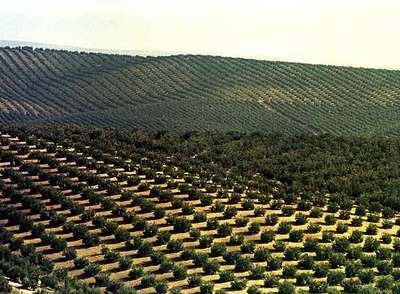 La postal de Antonio Muñoz Molina