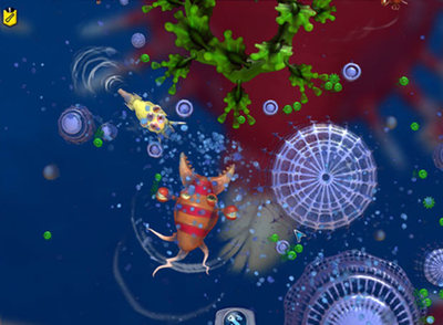 Distintos especímenes de  Spore.  