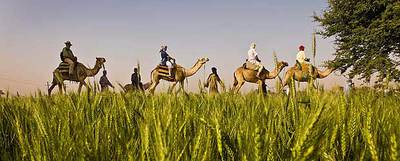 Amanece a orillas del Nilo