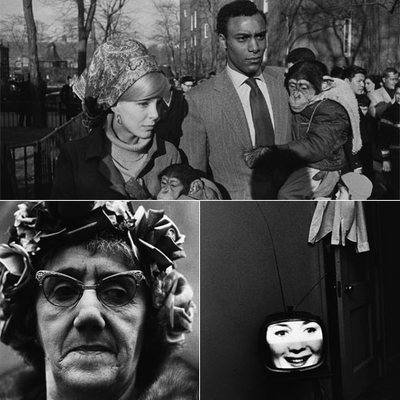 Arriba,  Central Park Zoo, New York City, 1967,   de Garry Winogrand ; a la izquierda,  Woman in rose hat, NYC 1966,   de Diane Arbus. E ncima,  Nashville, 1963 ,  de Lee Friedlander. 