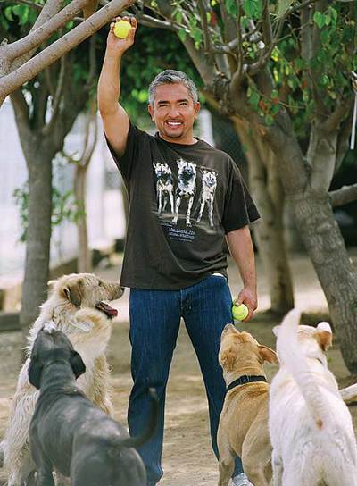 César Millán, presentador de la serie  El encantador de perros .