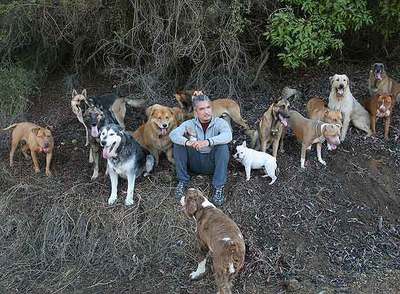 César Millán, presentador de la serie  El encantador de perros. 