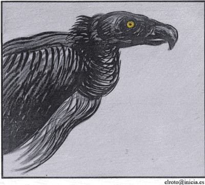 Gallina de los huevos de oro financiera