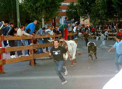 Un mozo corre delante de los toros en el encierro de Móstoles.