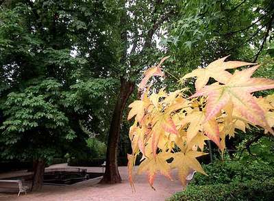 Vista del Real Jardín Botánico de Madrid en otoño.